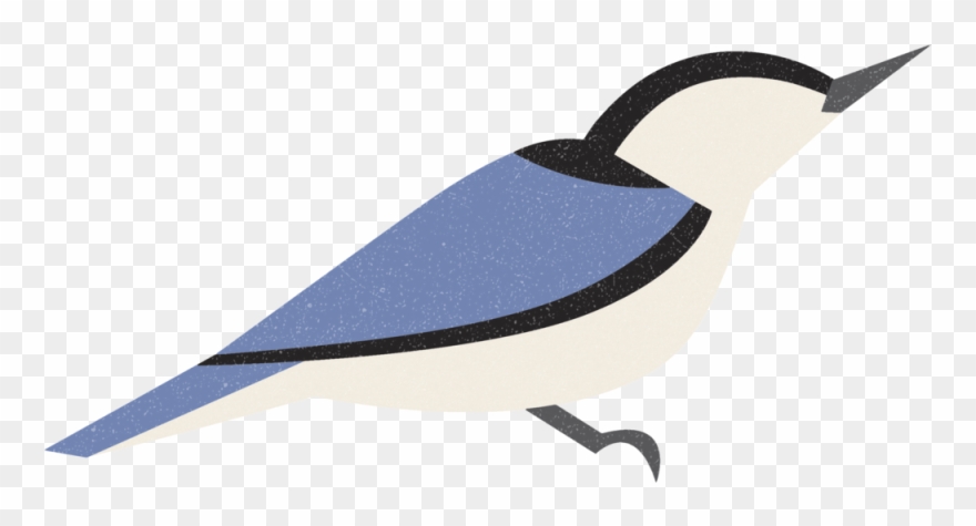 Nuthatch Clipart (#2361751).