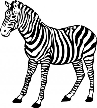 Zebra Clipart.