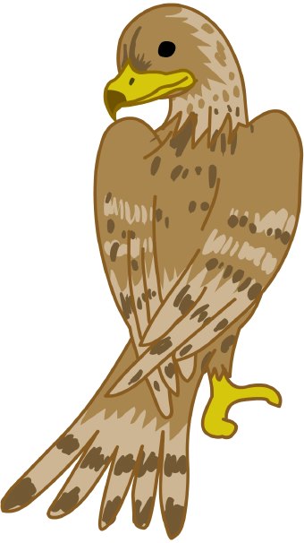 Falcon clip art at vector image 2.