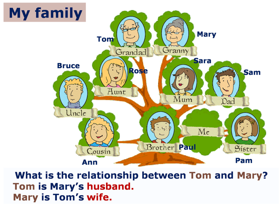 Family Tree Background clipart.