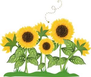 Sunflower Border Clip Art.