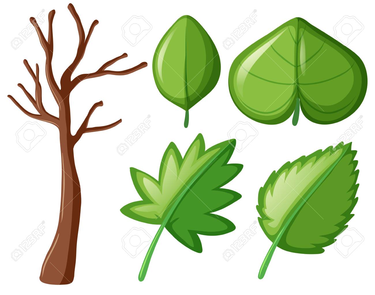 Different Shapes Of Green Leaves Illustration Royalty Free Cliparts.