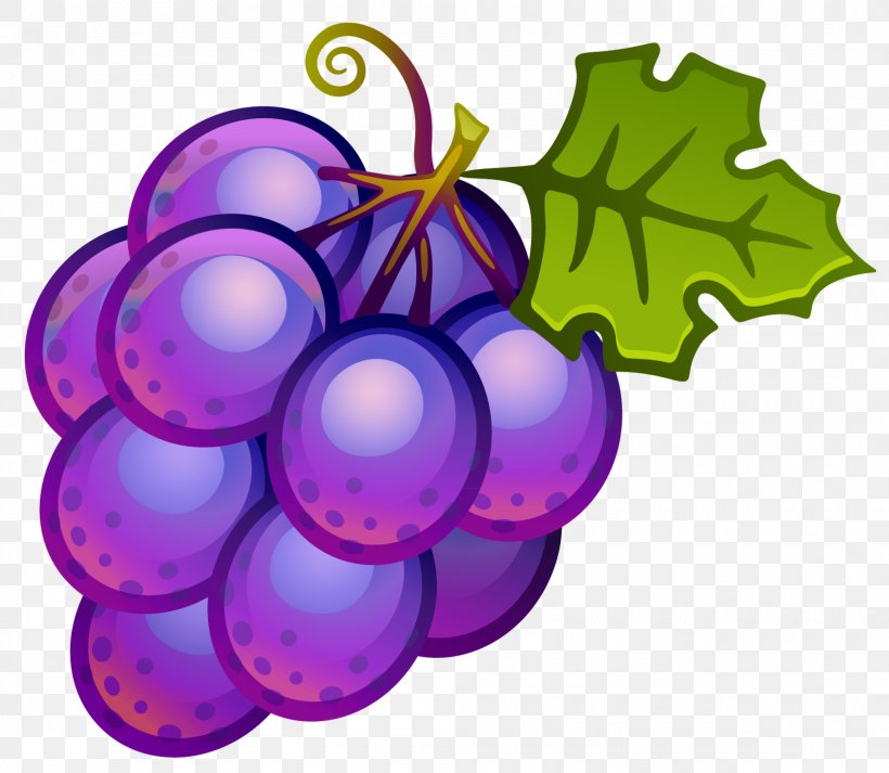 Common Grape Vine Clip Art, PNG, 2000x1741px, Wine, Blog.