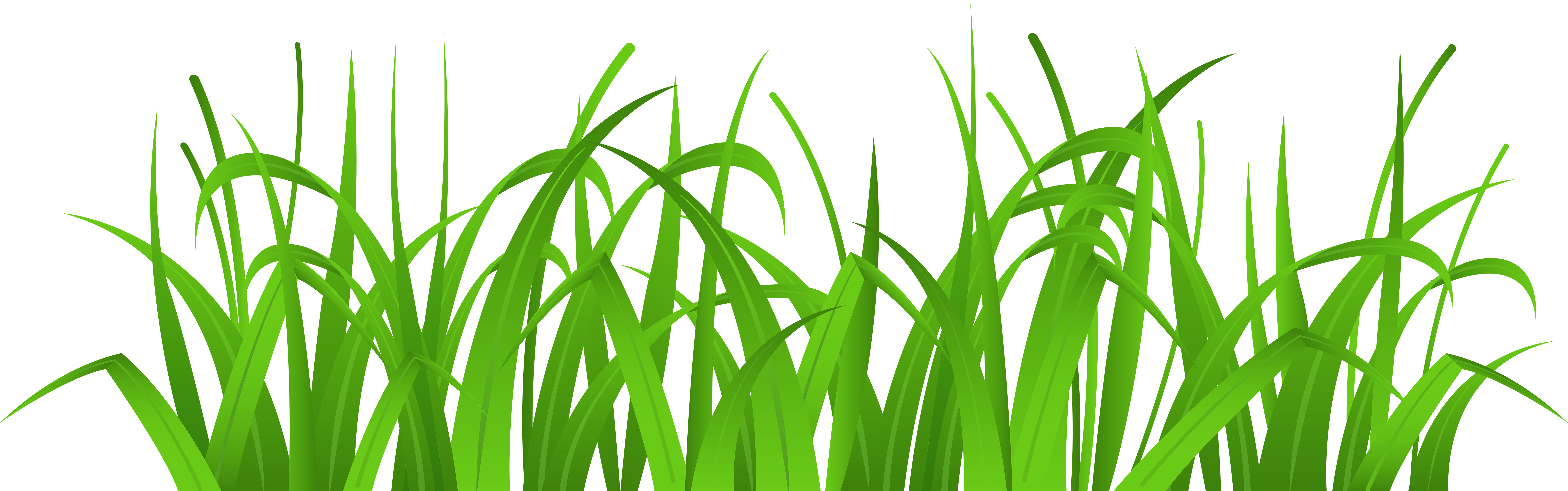 Grass Cover PNG Clip Art.