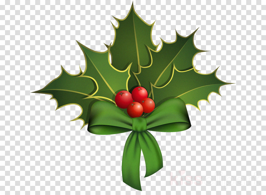 Holly clipart.