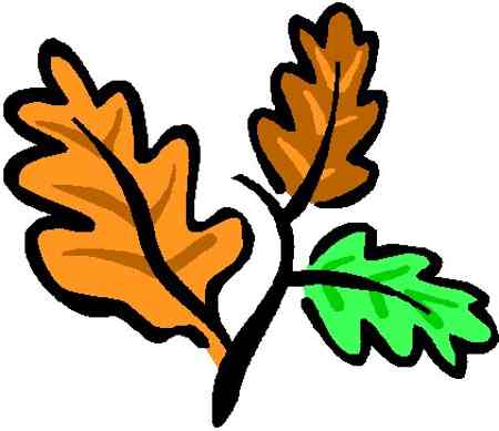 Free Oak Tree Clipart, Download Free Clip Art, Free Clip Art.