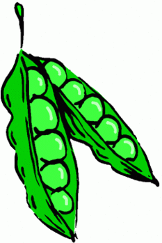 Peas Clipart Clipart.