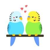 Parakeet clipart 1 » Clipart Station.