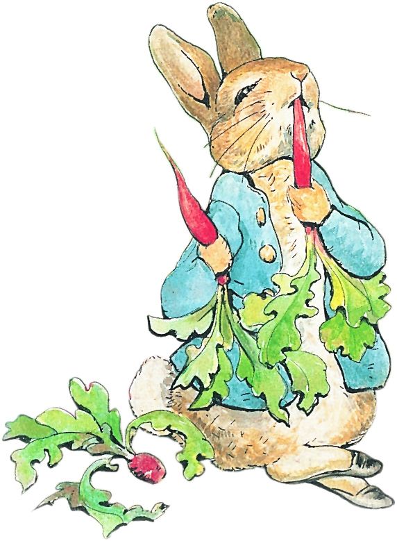 Peter rabbit clipart 9 » Clipart Station.