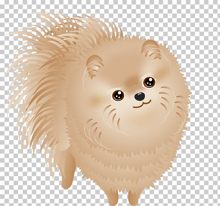 Pomeranian Dog breed Puppy Non.