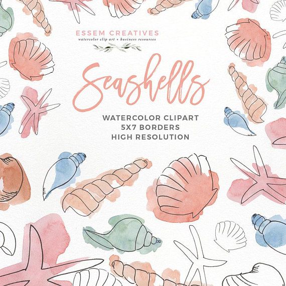 Watercolor Seashell Under the Sea Clipart Illustrations.