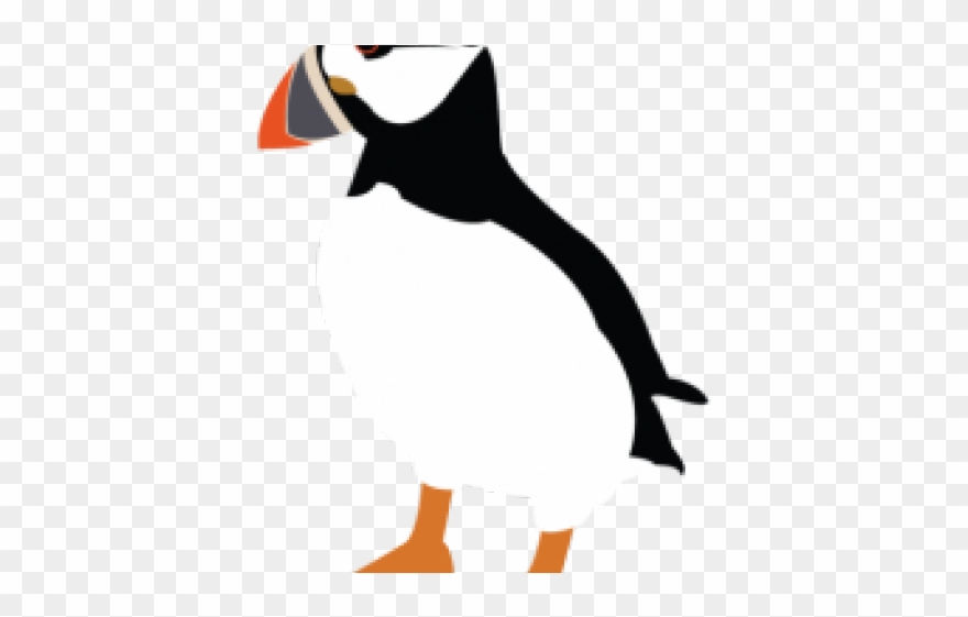 Puffin Clipart Transparent.