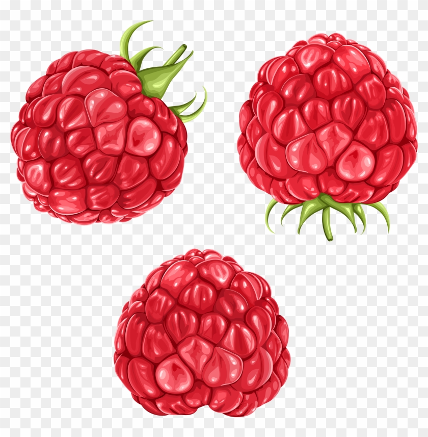 Raspberries Png Clipart Picture.