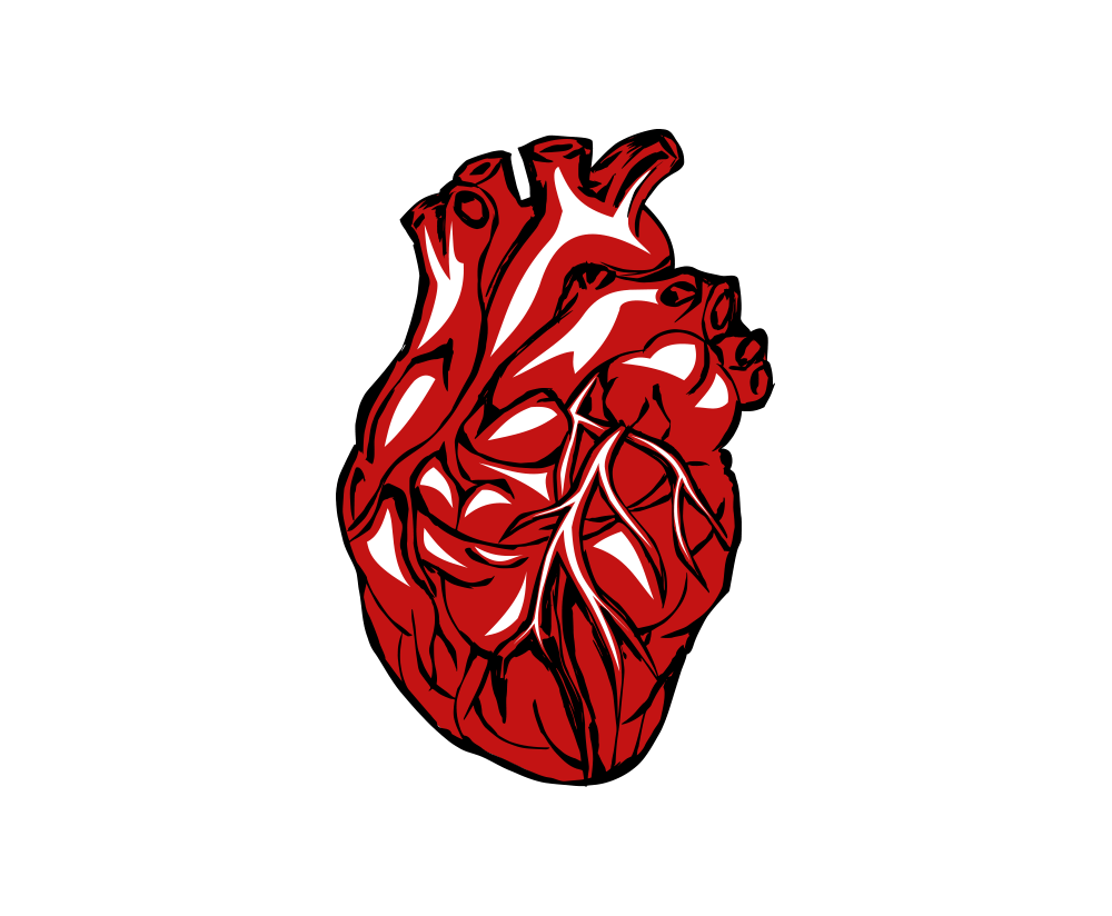 Download Free png real heart png clipart transparent without.