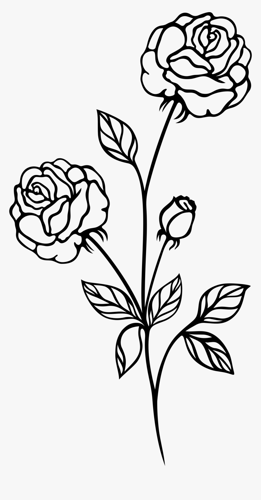 Rose Bush Clipart Plan.