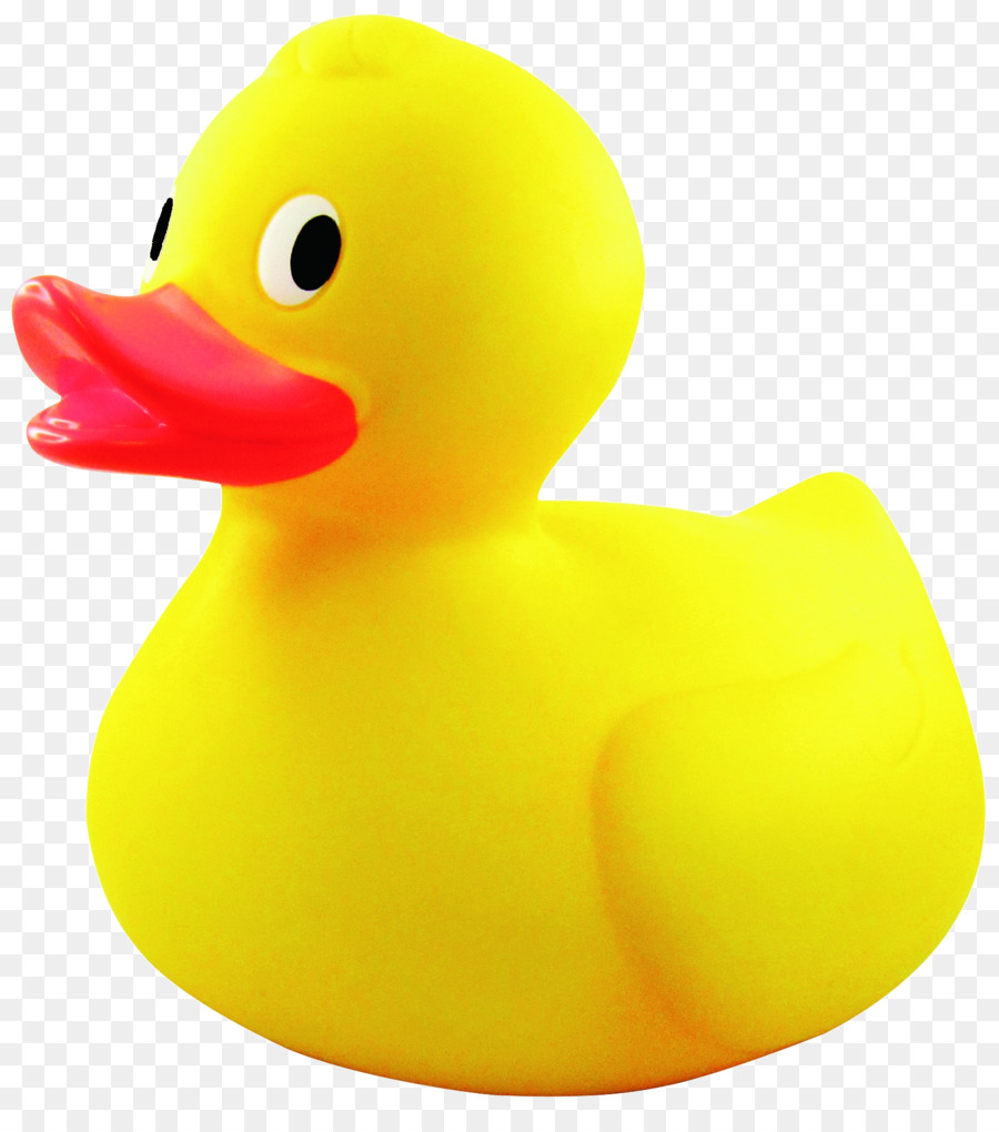 Duck Cartoon clipart.