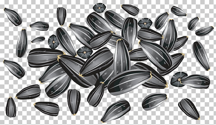 Sunflower seed Common sunflower , Sunflower Seeds , black.