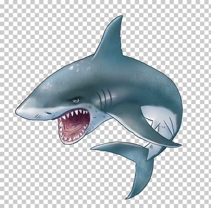 Shark Sticker , sharks PNG clipart.