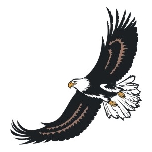 Eagle Soar Logo.