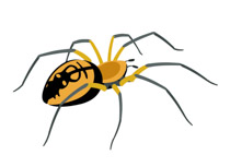 Free Spider Clipart.