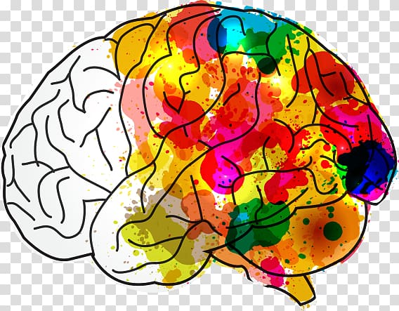 Human brain Creativity Mind Hacks, Brain Health transparent.