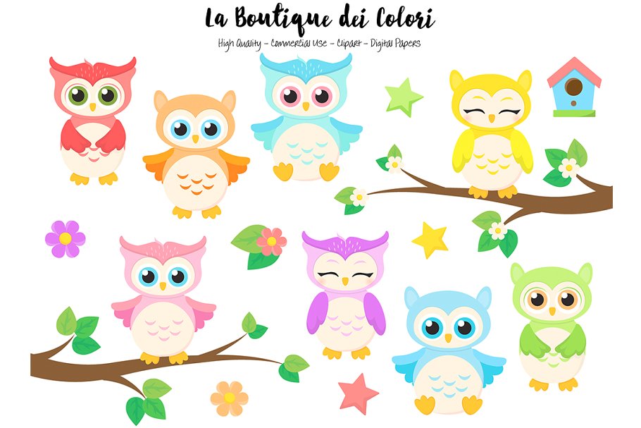 Cute Colorful Baby Owls Clipart.