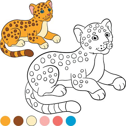 Coloring page with colors. Little cute baby jaguar. Clipart.