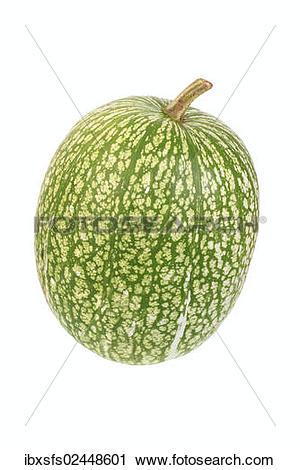 Stock Photography of "Squash, fig.