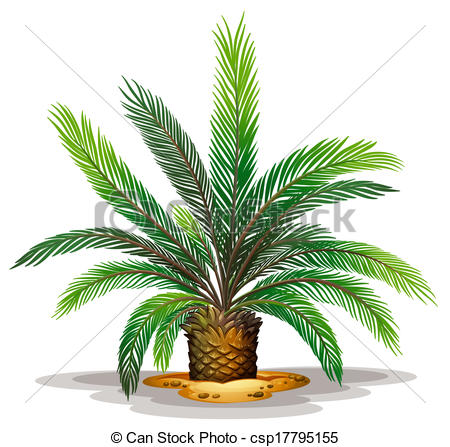 Cycad Vector Clip Art Royalty Free. 35 Cycad clipart vector EPS.