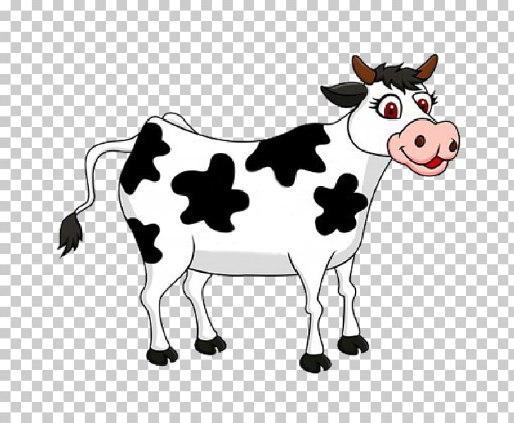 Cattle , cows PNG clipart.