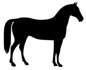 FREE Horse and Pony Clip Art.