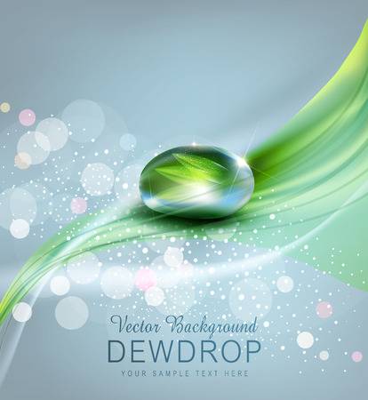 21,701 Drop Dew Stock Vector Illustration And Royalty Free Drop.