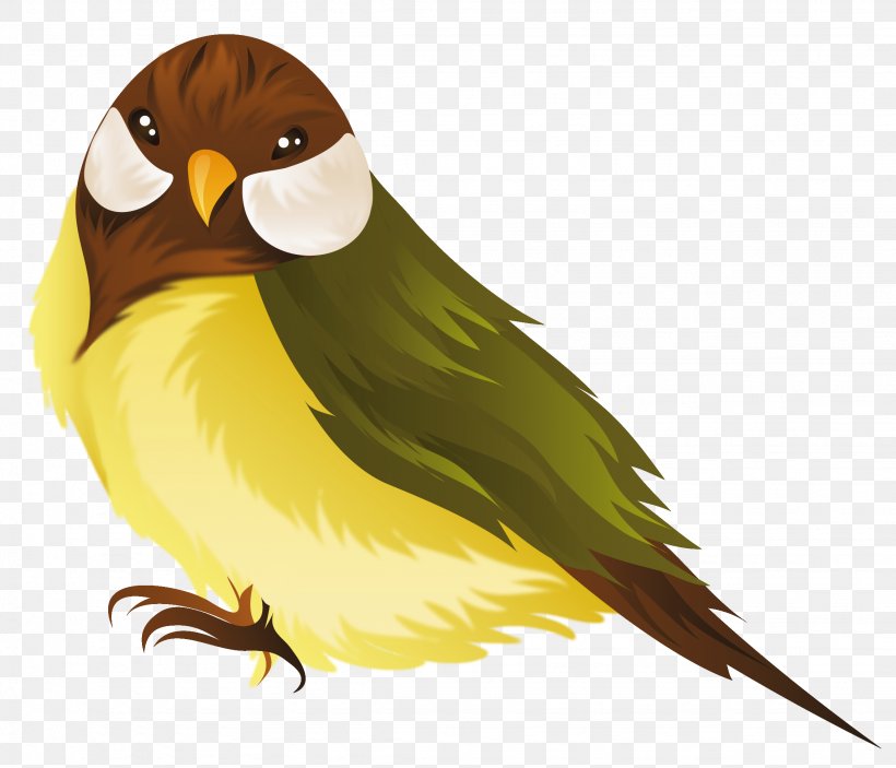 Bird Parrot Domestic Canary Clip Art, PNG, 2252x1931px, Bird.