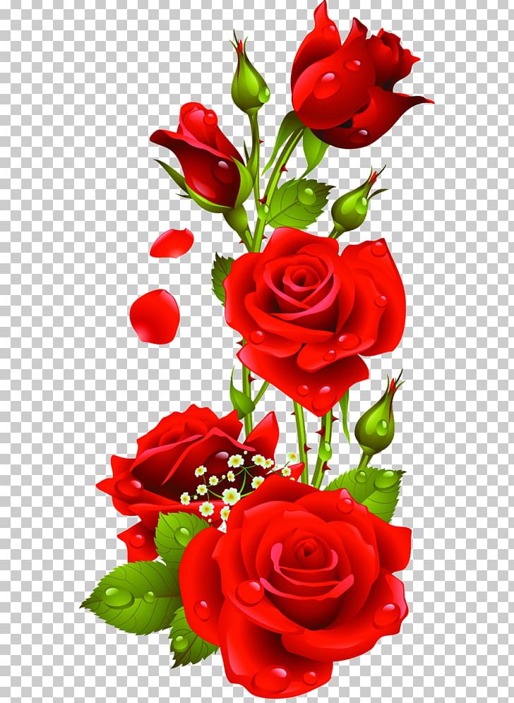 Portable Network Graphics Rose Open Flower PNG, Clipart.