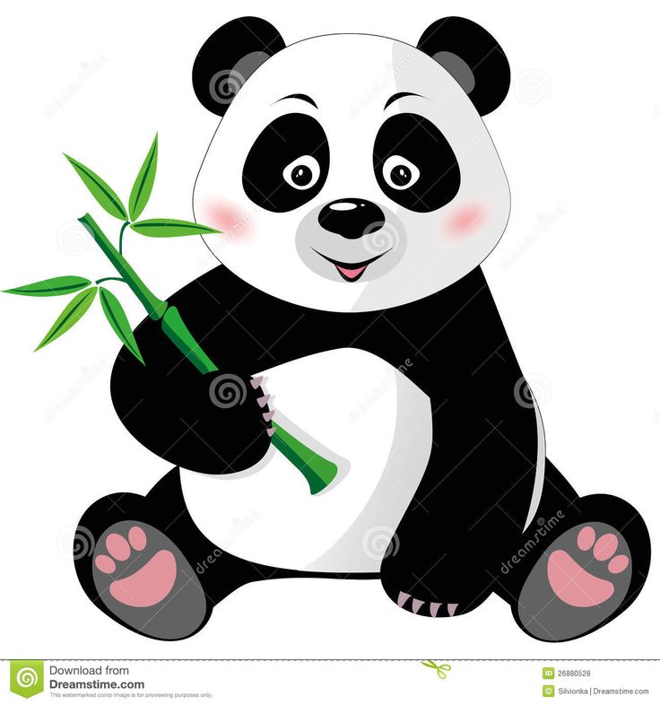 752 Panda Bear free clipart.