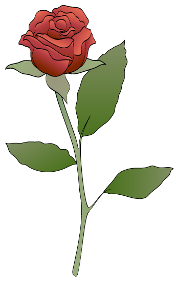 Red rose clipart.