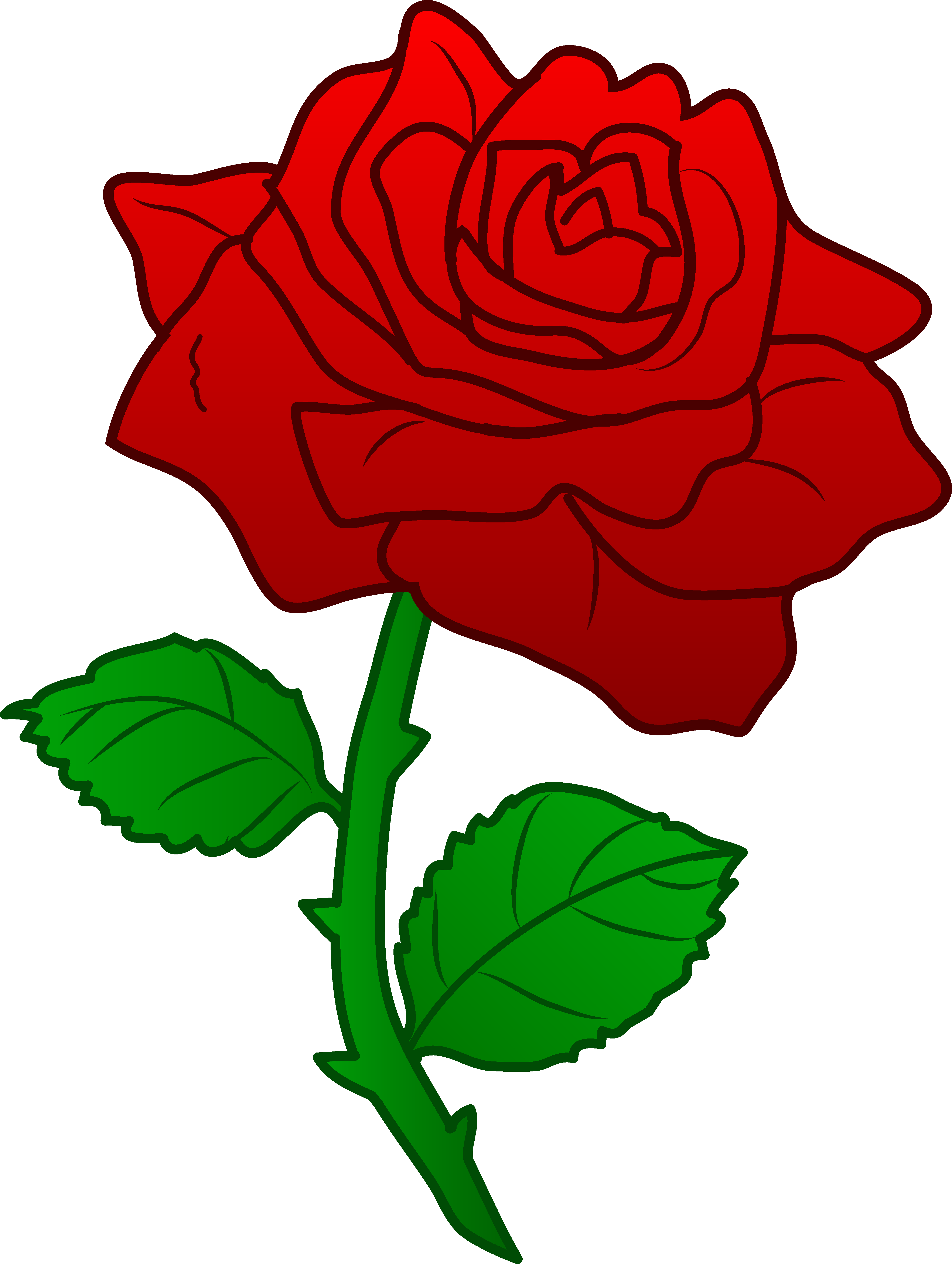 Red Roses Clipart.