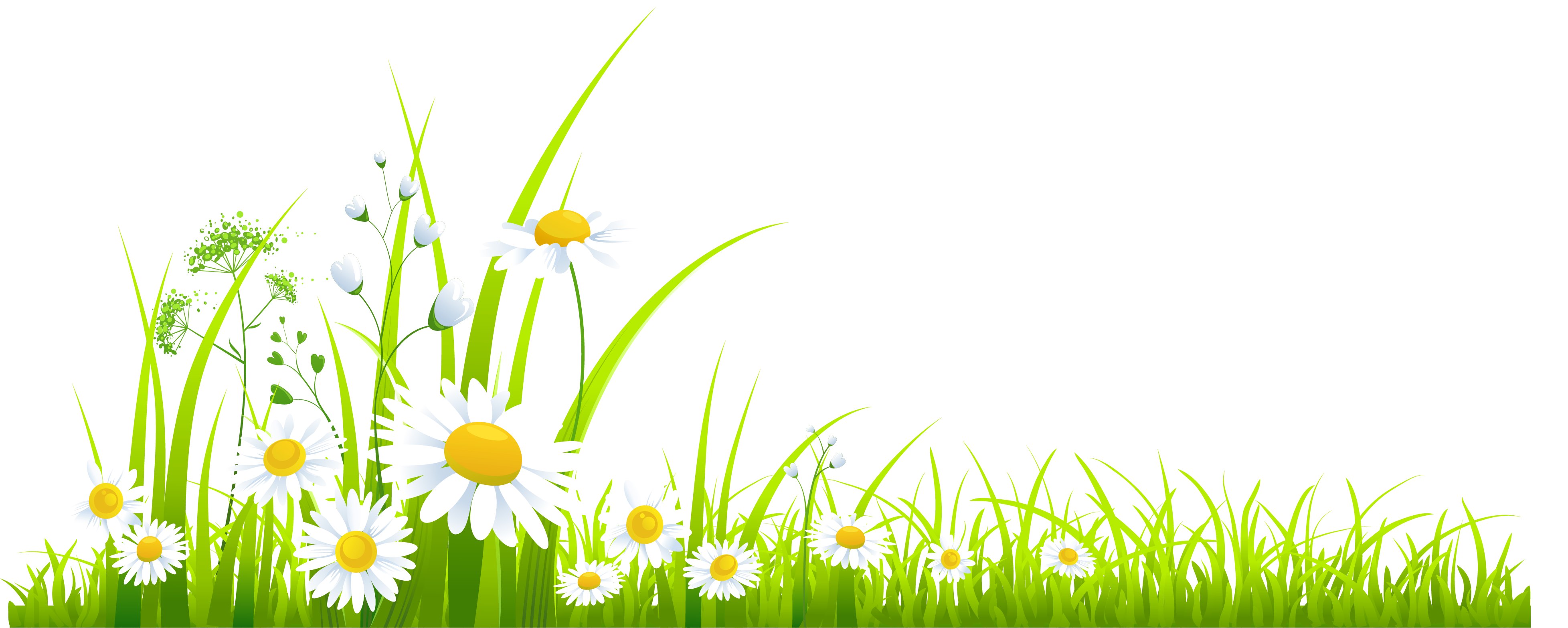 Spring grass clipart.