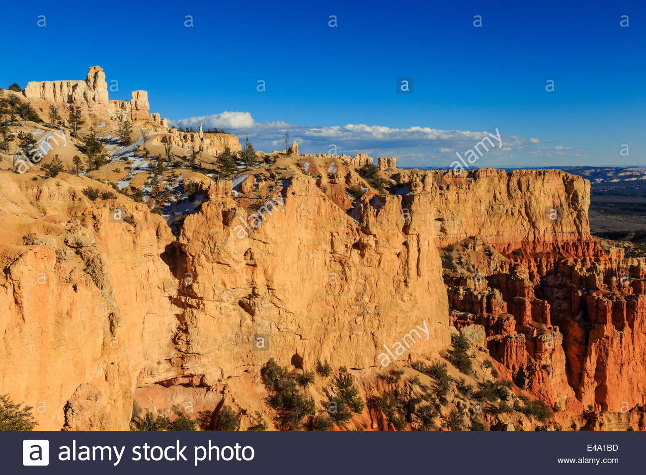 Swamp Canyon, USA 2019.