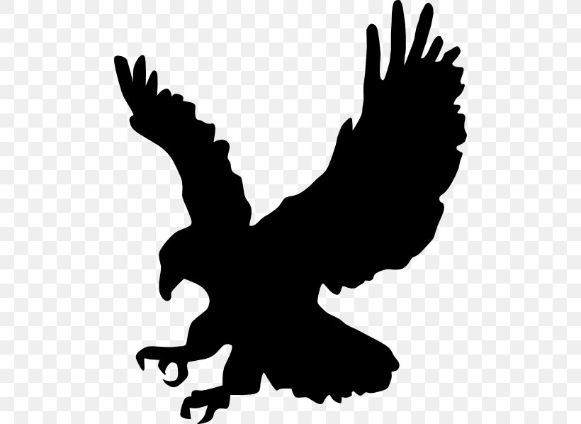 Bald Eagle Clip Art Silhouette, PNG, 498x598px, Bald Eagle.