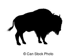 American buffalos Illustrations and Clip Art. 628 American.