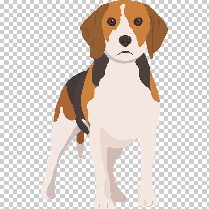 Beagle English Foxhound Harrier American Foxhound Finnish.