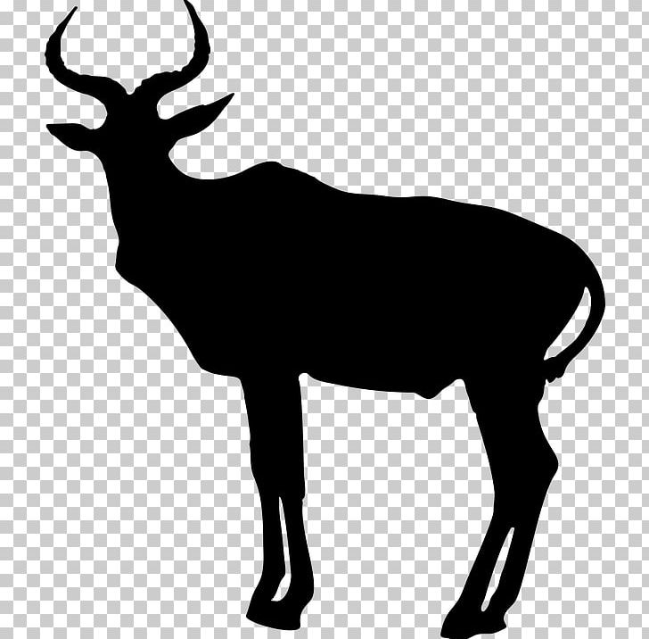 Antelope Pronghorn Animal Silhouettes PNG, Clipart, Animal.