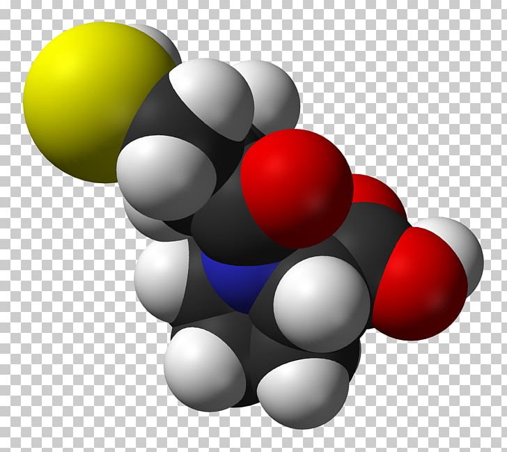 Captopril ACE Inhibitor Angiotensin.