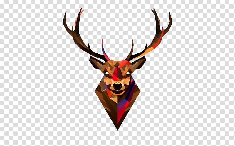 Multicolored reindeer , Red deer Head Antler , Deer Head.