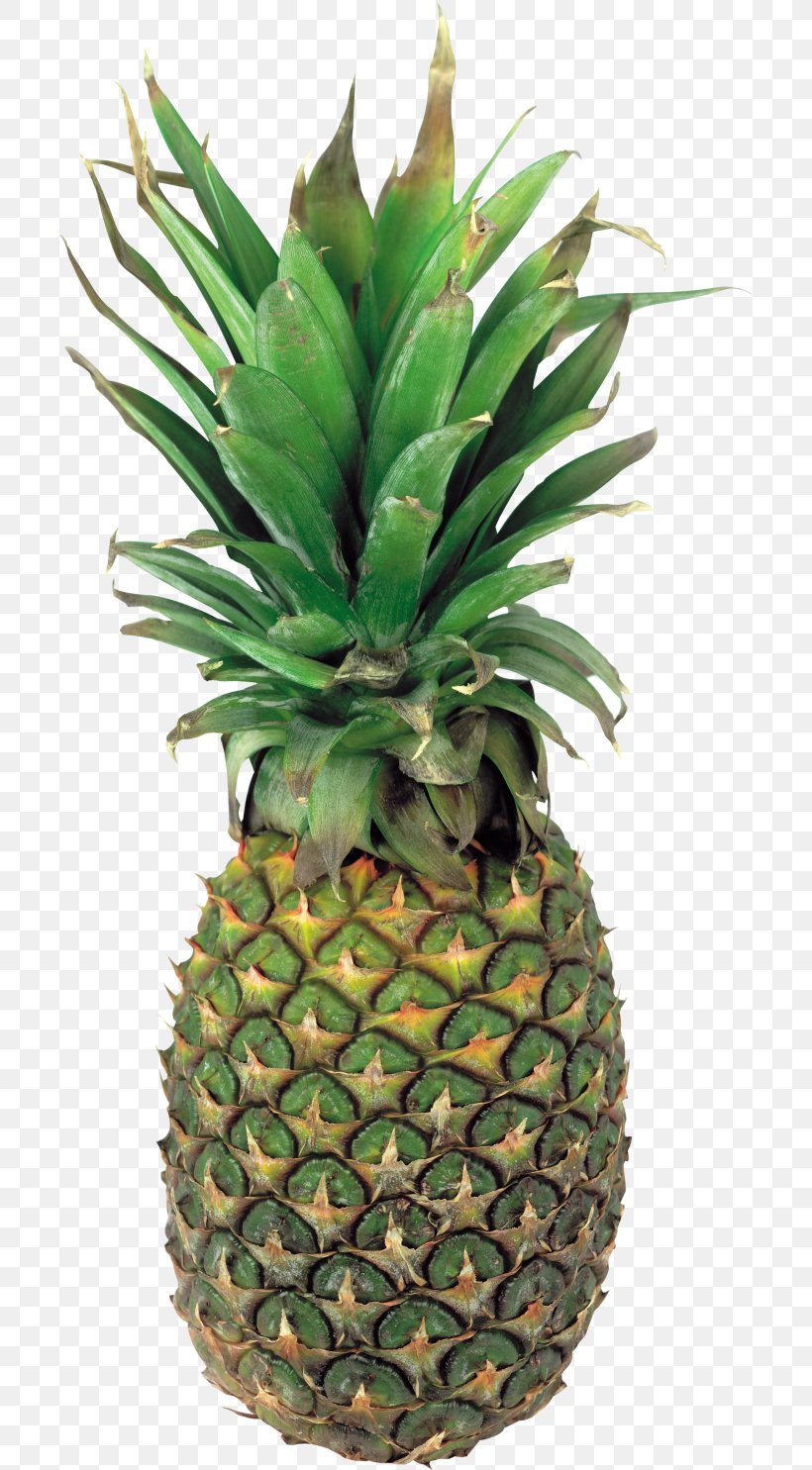 Pineapple Clip Art Juice Fruit, PNG, 700x1485px, Pineapple.