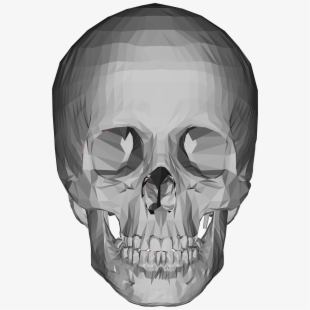 Skeleton Head Shape Free On Dumielauxepices Net.