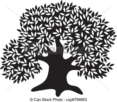 Vectors of Silhouette of the old olive tree csp6794663.