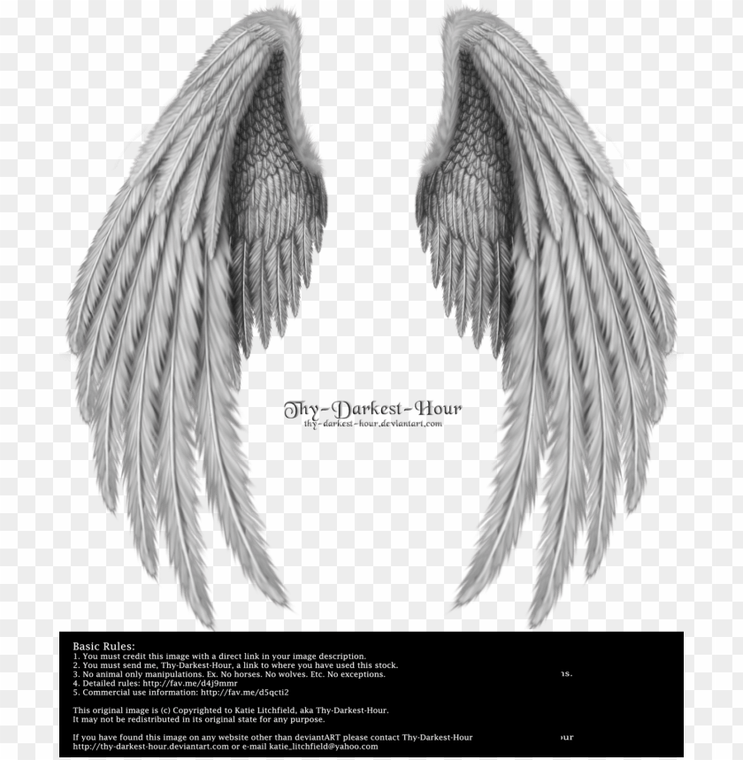 realistic angel wings side view download.