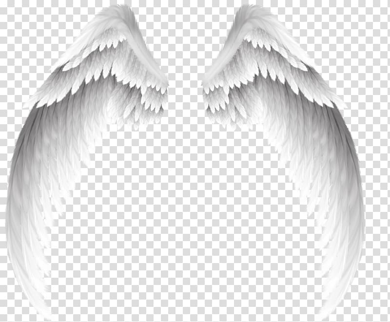 Angel , Pretty white angel wings, angel wings illustration.